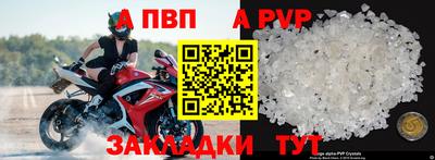 прущие крисы Кингисепп