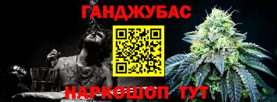 прущие крисы Кингисепп