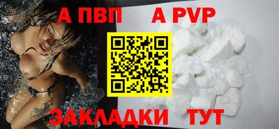 прущие крисы Кингисепп